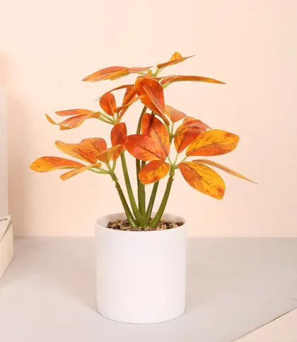 Polyester · Ceramic · PU(Polyurethane)