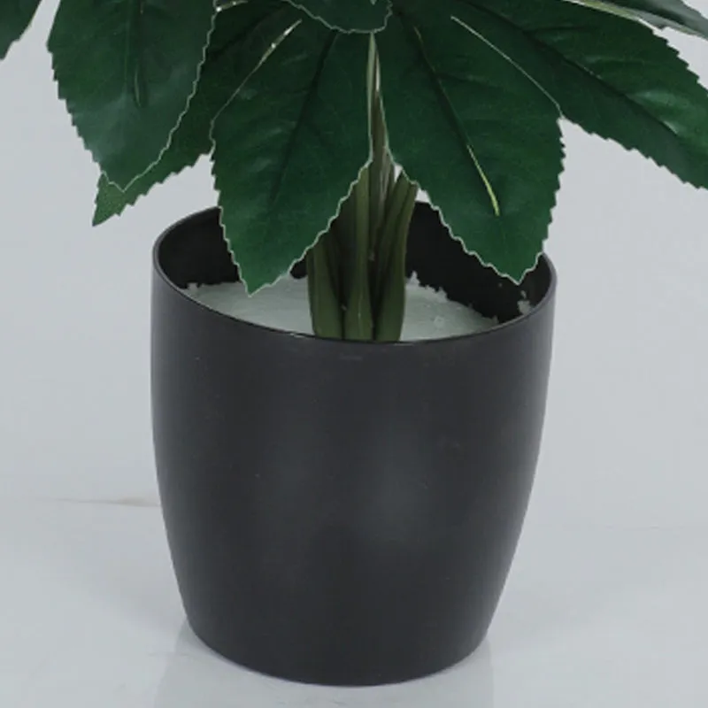 Bahia Artificial Chestnut Plant With Black Plastic Pot - 2.5 Feet media 4