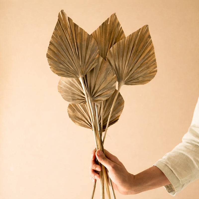 Dried Flowers & Leaves