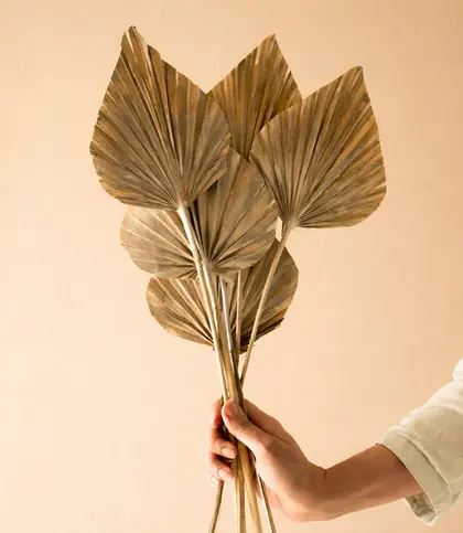 Dried Flowers & Leaves