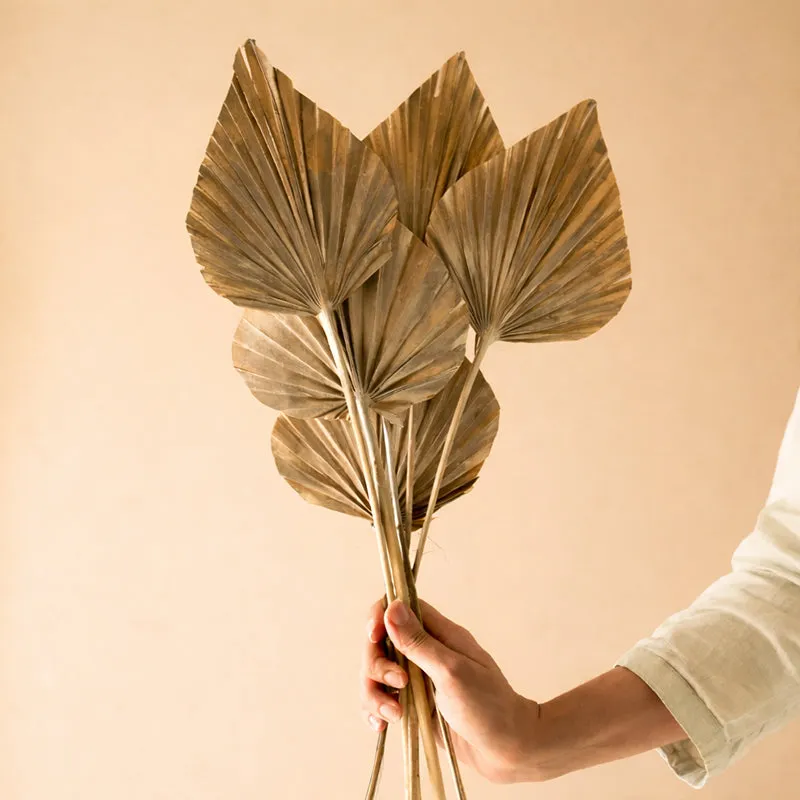 Dried Dual Tone Palm Leaf (Gold) - Set Of Five media 1