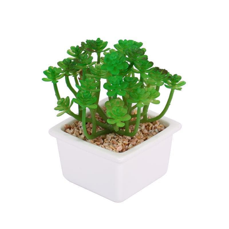 Faux Crassula In White Pot - 14.5 cms media 4