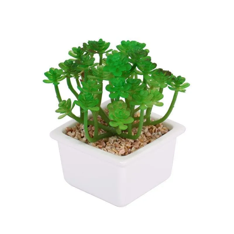 Faux Crassula In White Pot - 14.5 cms media 4