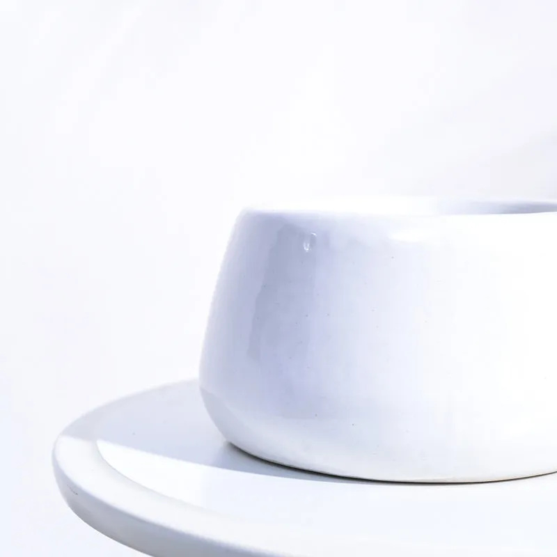 Ugaoo Tulip Fantasy 6031 White Ceramic Pot media 4