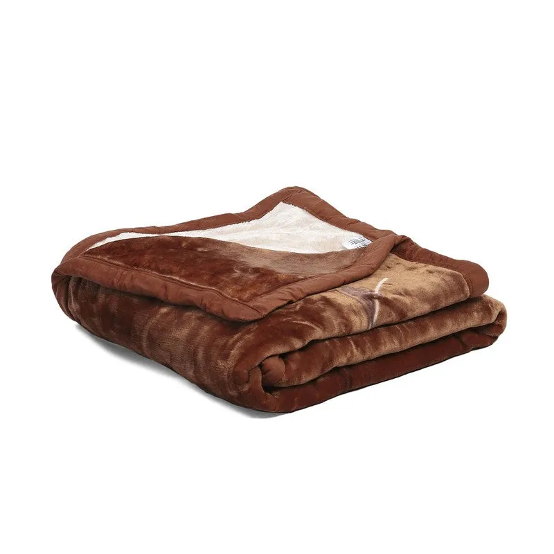 Monte Carlo Cocoa Dreams Blanket - 500 GSM media 5