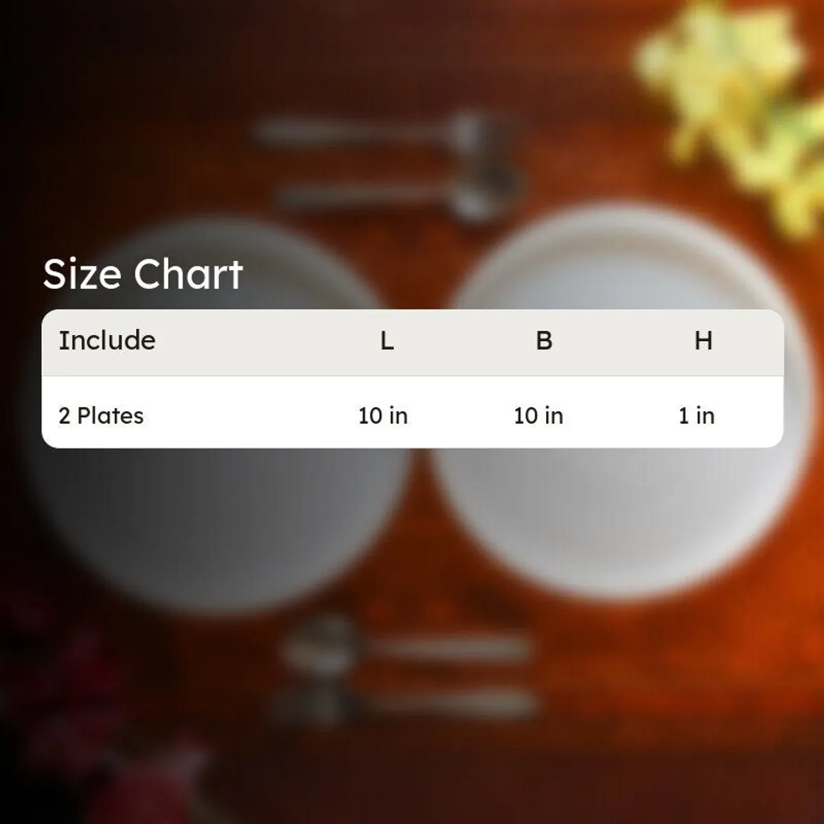 Two plates shown with a size chart on a dining table