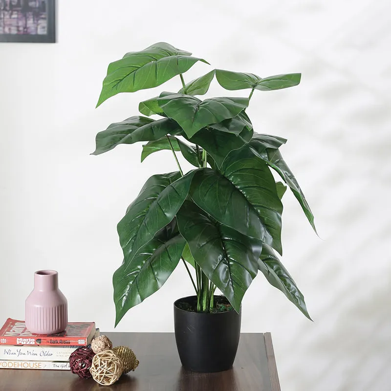 Faux Anthurium Silk Plant With Black Plastic Pot - 2.13 ft media 3