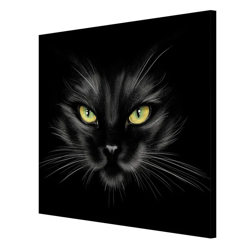 Mysterious Black Cat Poly Canvas Wall Painting media 6