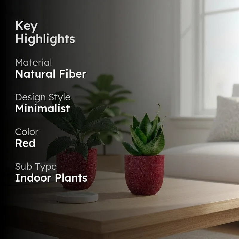 Greenkin Lily & Snake Live Plants (Red) - Set Of Two media 2