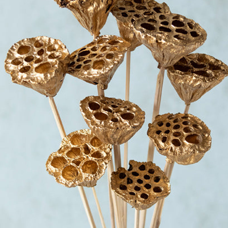 Nalay Golden Lotus Pod on Stem - Set Of Ten media 5