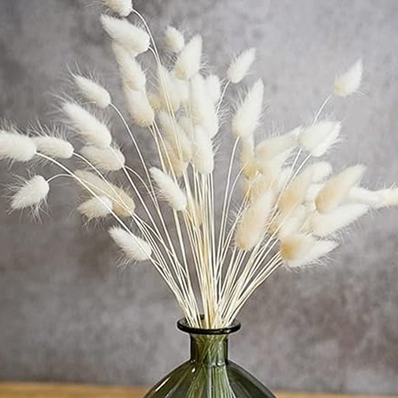 Cloudtail Dried Bunny Tail Stem (White) - Set Of Thirty media 4