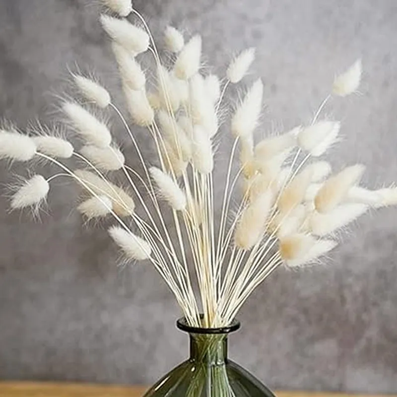 Cloudtail Dried Bunny Tail Stem (White) - Set Of Thirty media 4