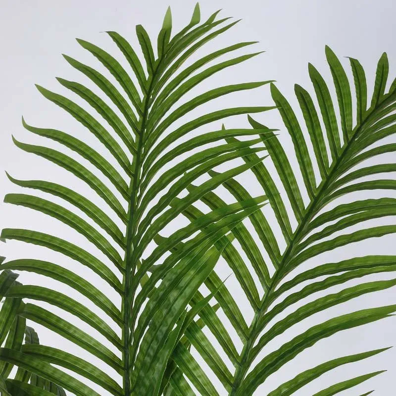 Leafmint Areca Plam Plant With Black Fiber Pot - 6.6 Feet media 5
