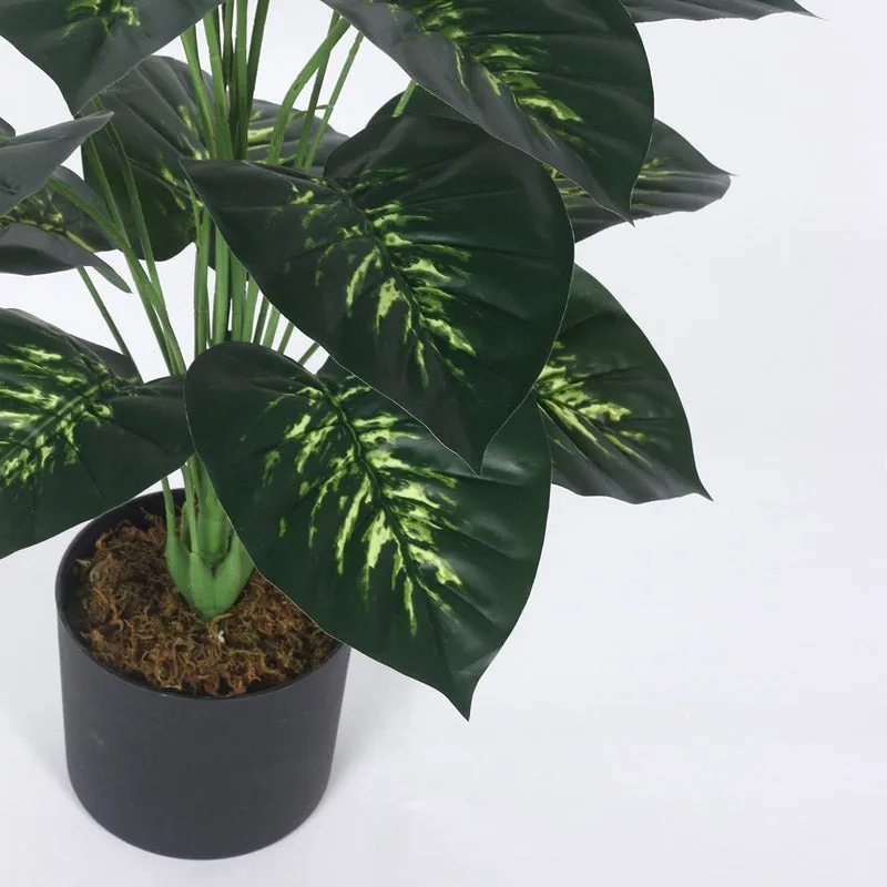 Faux Realtouch Green Dieffenbachia Tree With Black Plastic Pot - 3.3 Feet media 5
