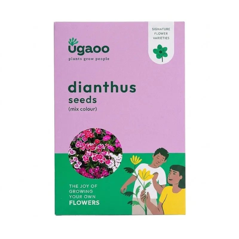 Ugaoo Dianthus Mix Seeds media 5