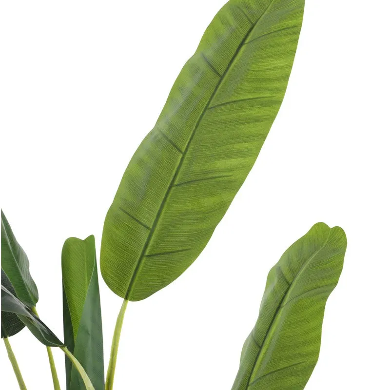 Artificial Banana Plant With Black Plastic Pot - 5 ft media 5