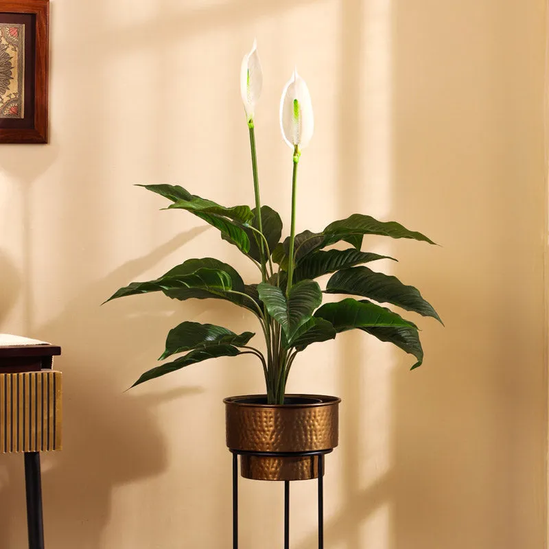 Artificial Realistic Peace Lily Plant With Black Plastic Pot - 2.5 Feet media 1