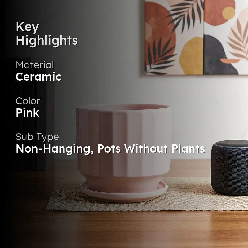 Pink ribbed ceramic planter shown in a room setting