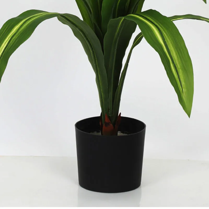 Edoras Artificial Dracaena Plant With Black Plastic Pot - 2.5 Feet media 5
