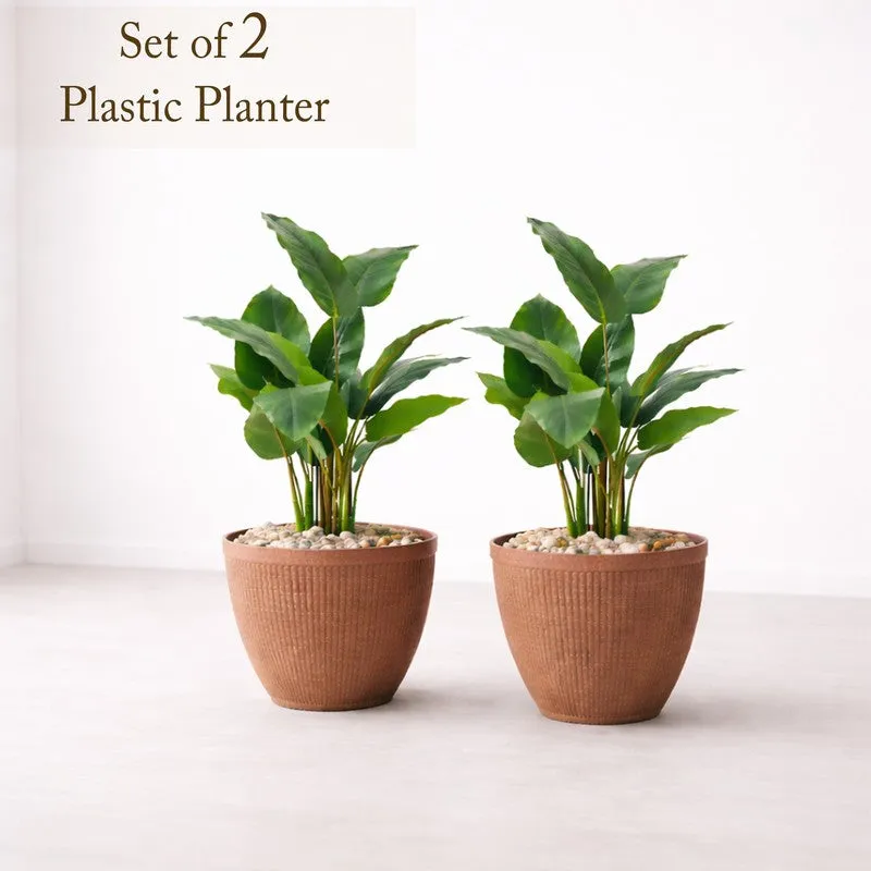 BloomBin Planters (Brown) - Set Of Two media 3
