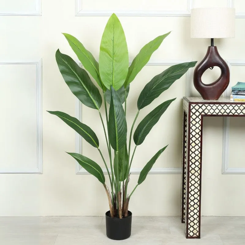 Artificial Strelitzia Plant With Black Fiber Pot - 3.9 Feet media 3