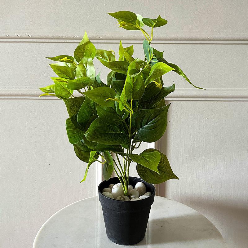 Faux Everlasting Jade Pothos Plant With Black Plastic Pot - 48 cm media 3