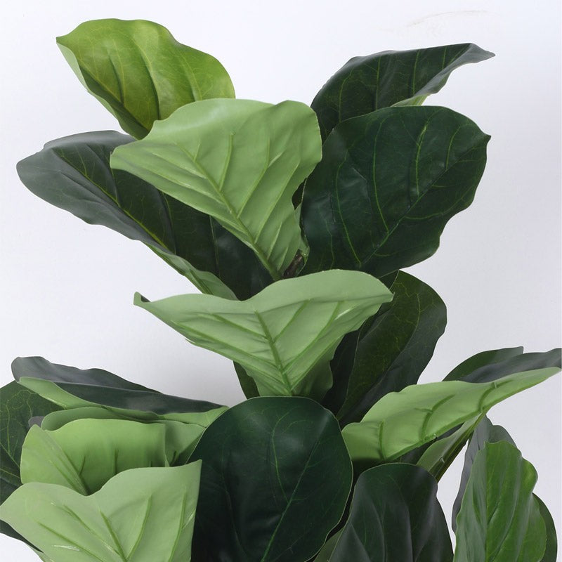 Faux Realtouch Green Fiddle Leaf Fig Tree With Black Plastic Pot - 3.9 Feet media 7