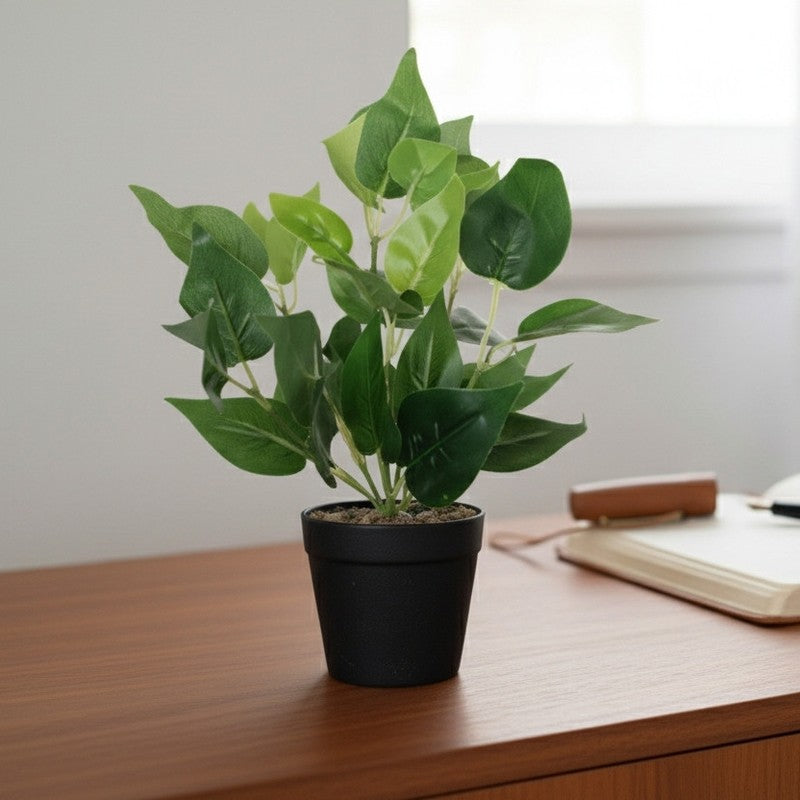 Artificial Pothos Plant With Black Fiber Pot - 0.9 Feet media 5