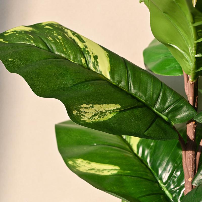 Faux Everlasting Dieffenbachia Plant With Black Plastic Pot - 58 cm media 4