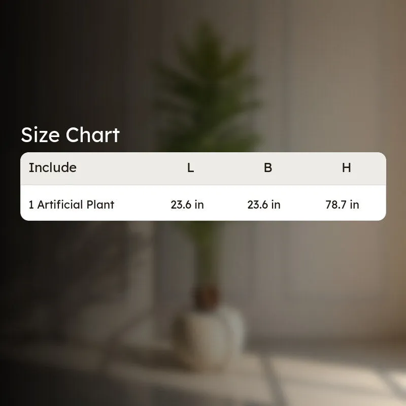 Leafmint Areca Plam Plant With Black Fiber Pot - 6.6 Feet media 8