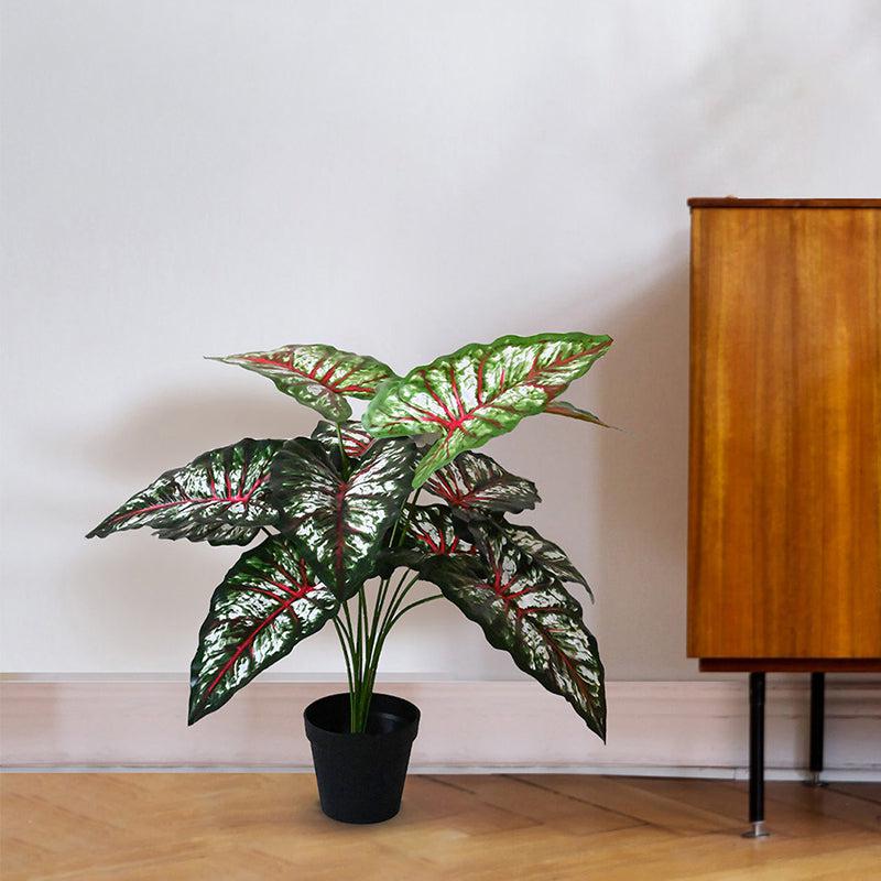 Faux Everlasting Tropical Caladium Plant With Black Plastic Pot - 65 cm (2.1 ft) media 3