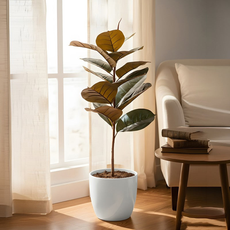 AarviDecor Urban Leaf PVC Artificial Plants media 4
