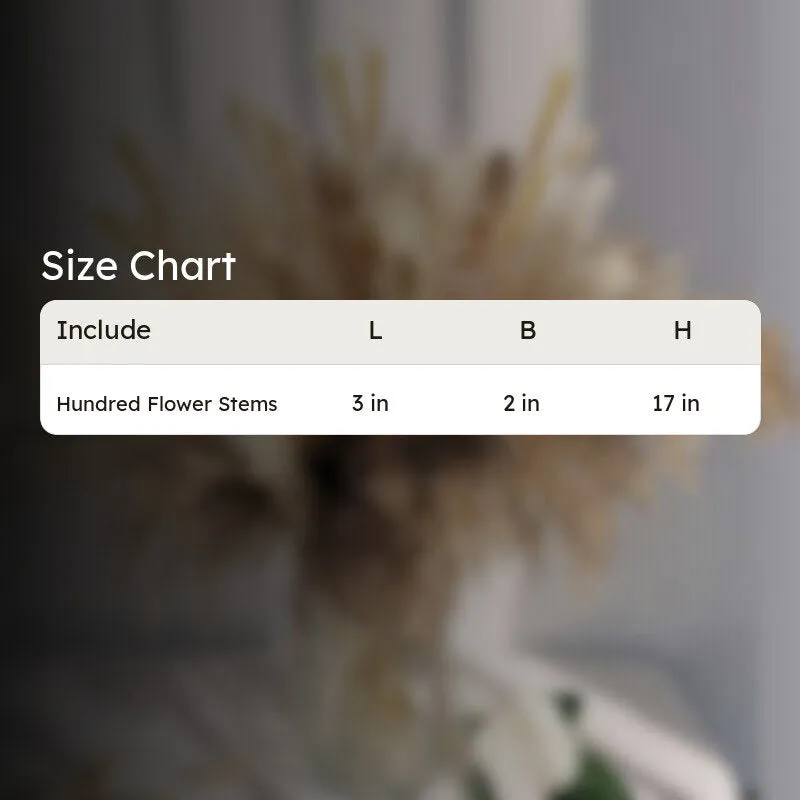 Bloom Theory Dried Flower Stems - Set of Hundred media 6
