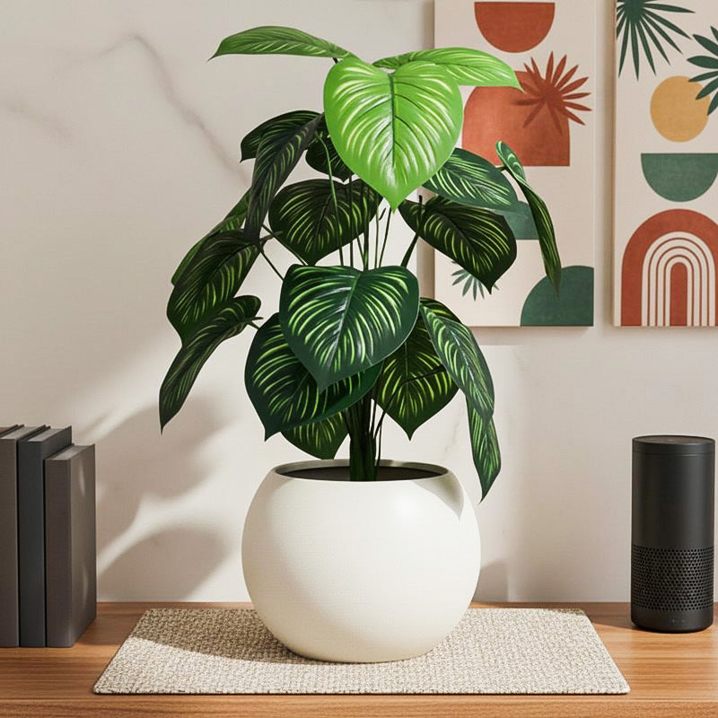 Artificial Money Plant With Black Plastic Pot - 2 ft