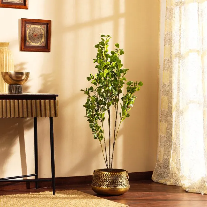 Artificial Realistic Schefflera Plant With Black Plastic Pot - 3.9 Feet media 3