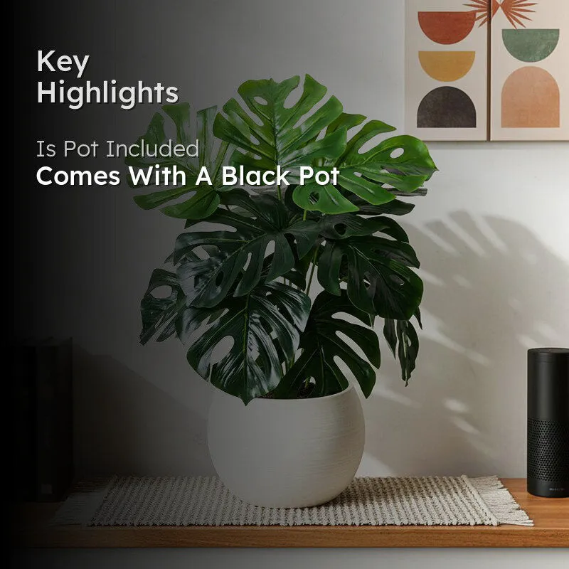 Faux Everlasting Deliciosa Monstera Artificial Plant With Black Plastic Pot - 61 cm (2 ft) media 2