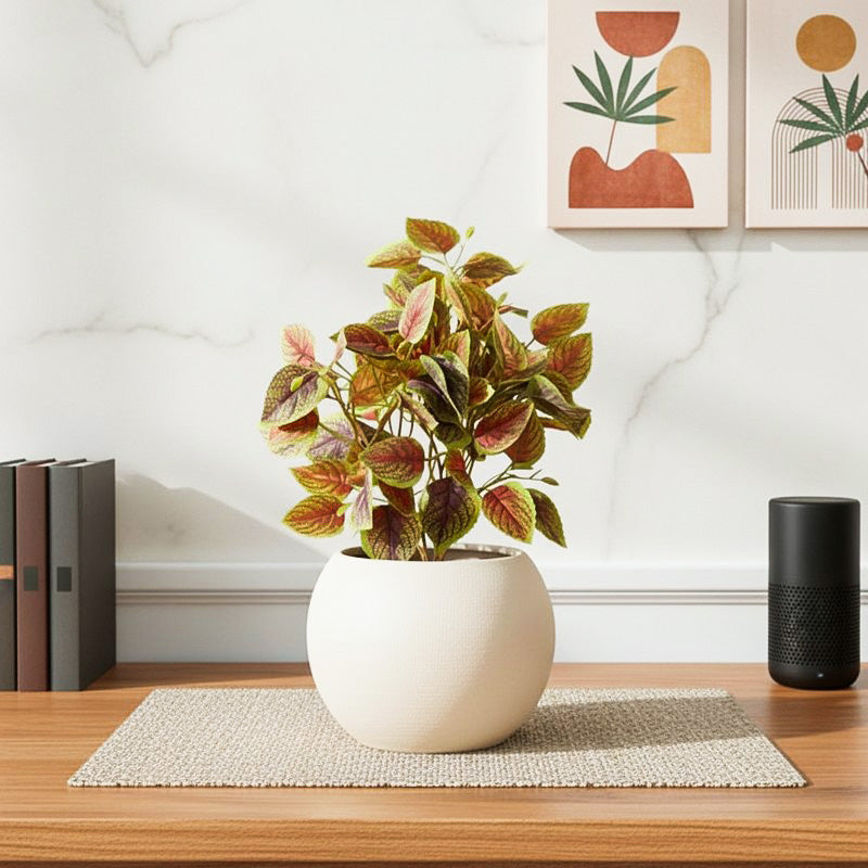 Artificial Brown Coleous Leaf Plant With Black Fiber Pot - 1 Feet