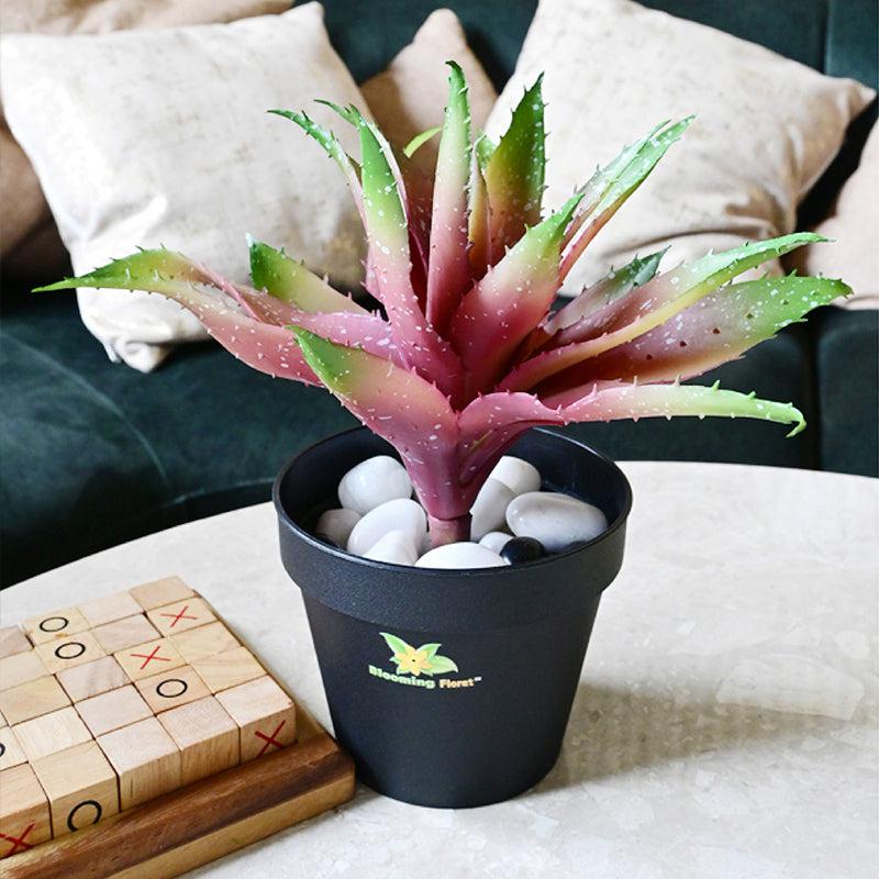 Alvera  Artificial Aloe Vera Plant With Black Plastic Pot (Pink) - 24 cm media 5