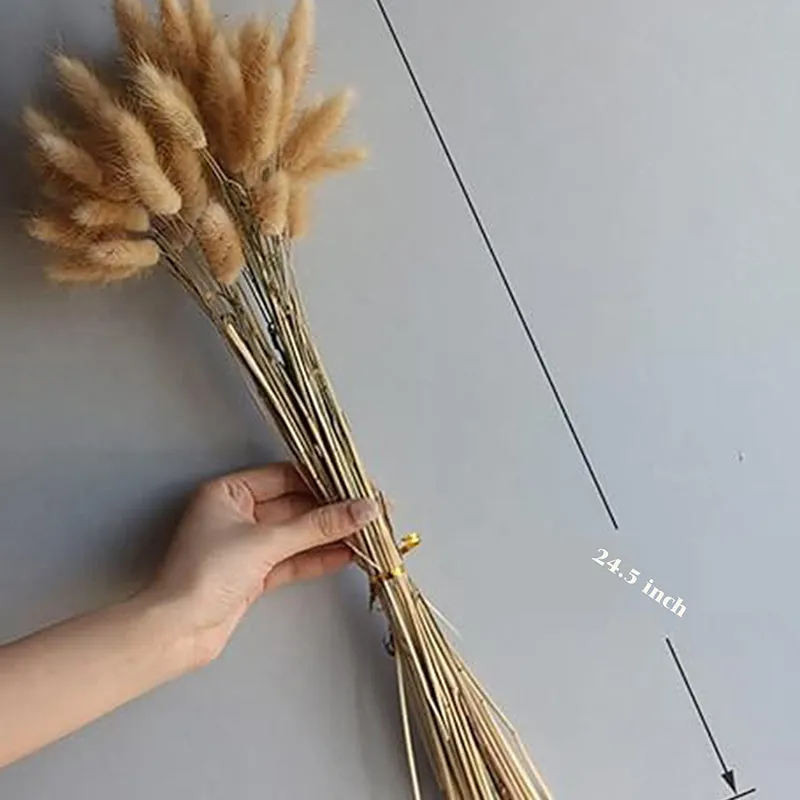 Cloudtail Dried Bunny Tail Stem (Brown) - Set Of Sixty media 6