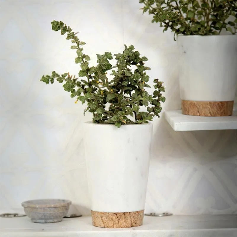 Plant Buddy Hand Crafted Marble Planter - Small media 3