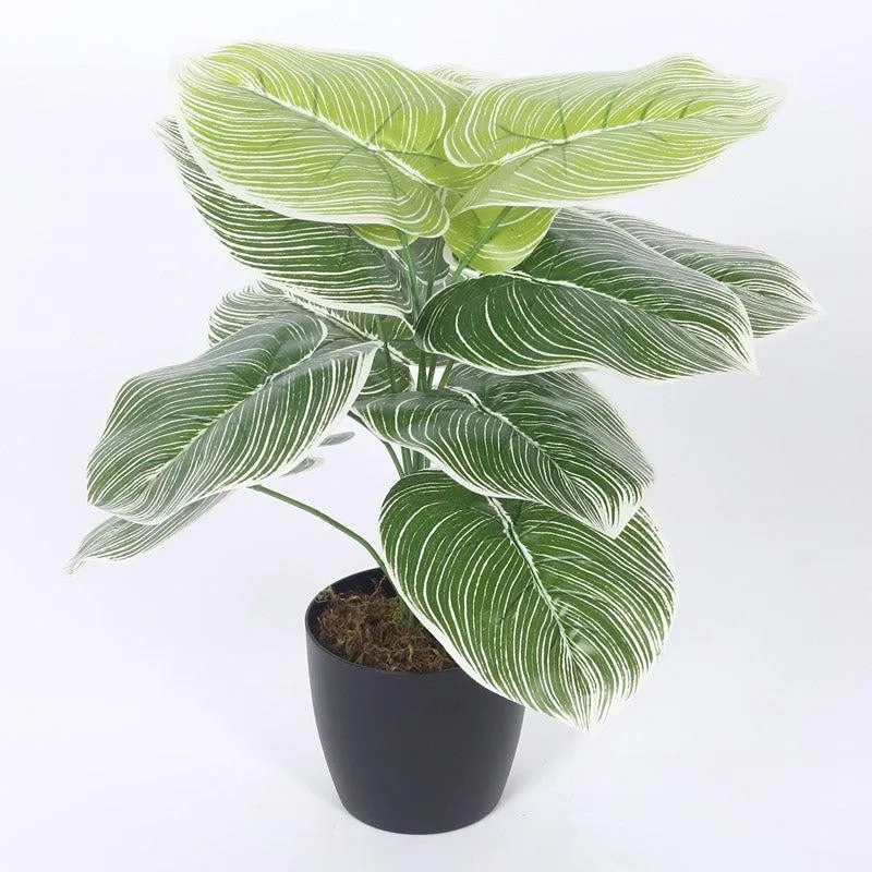 Faux Realtouch White Dieffenbachia Tree With Black Plastic Pot - 1.8 Feet media 3