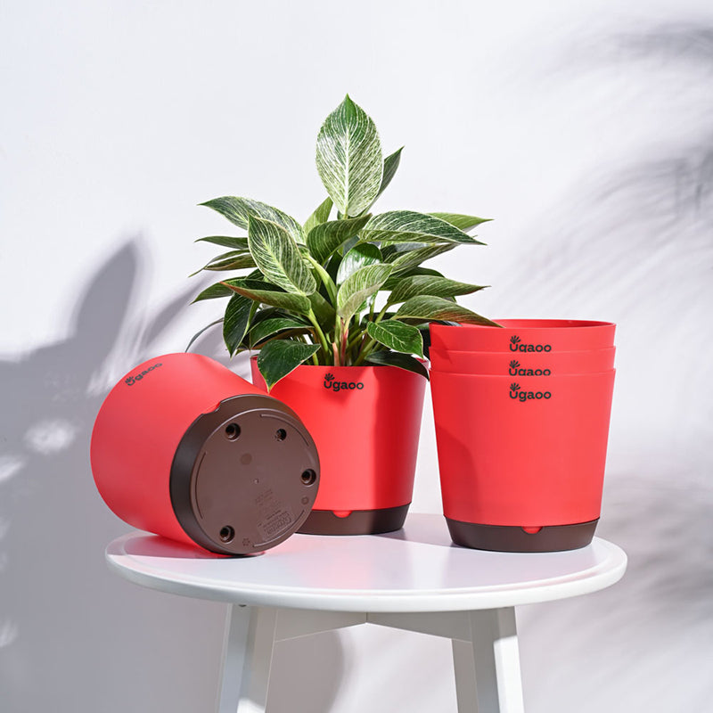 Ugaoo Mossy Bottom Plastic Planter (Red) - Set Of Five media 2