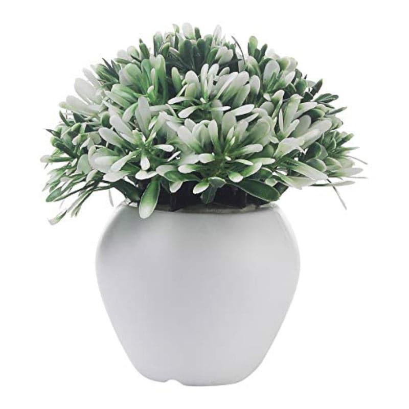 Chlora Faux Plant In Apple Pot - Set Of Three media 5