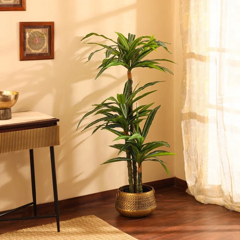 Artificial Variegated Dracaena Plant With Black Plastic Pot 5 ft media 4