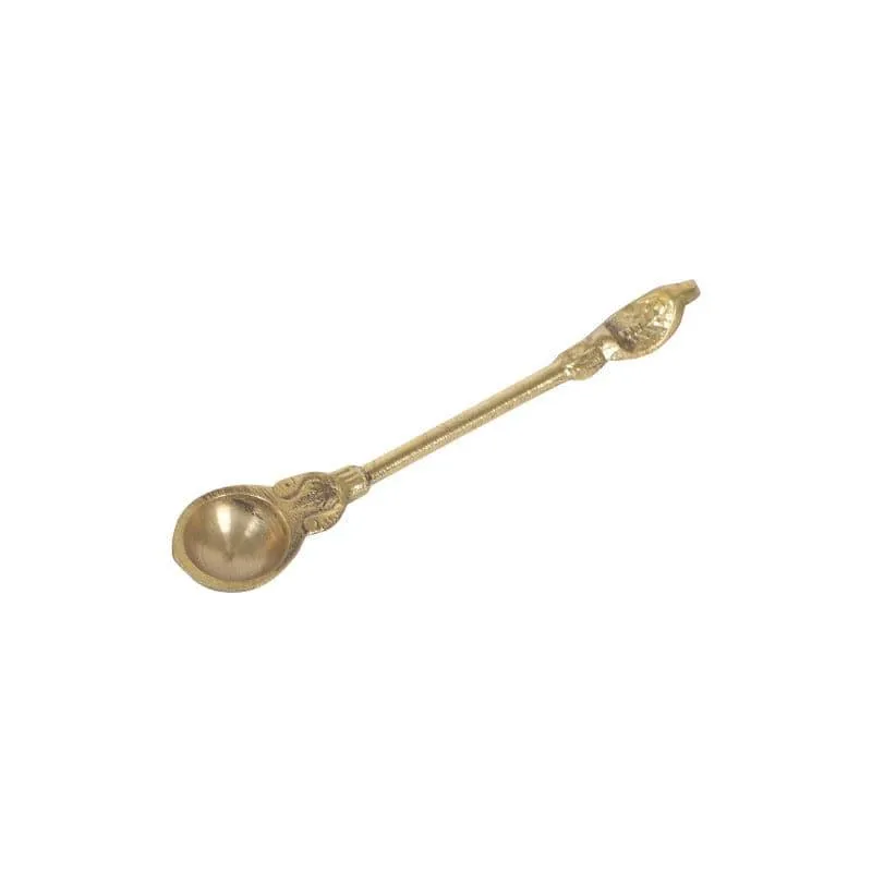 Amasha Pooja Spoon media 3