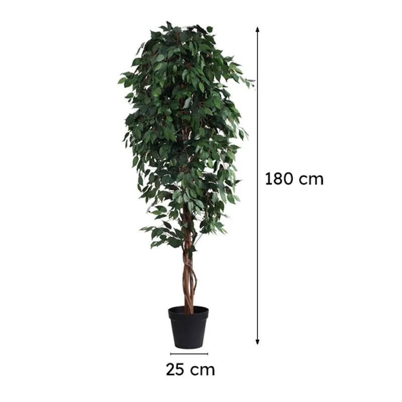 Artificial Green Ficus Plant With Black Plastic Pot - 7 ft media 9