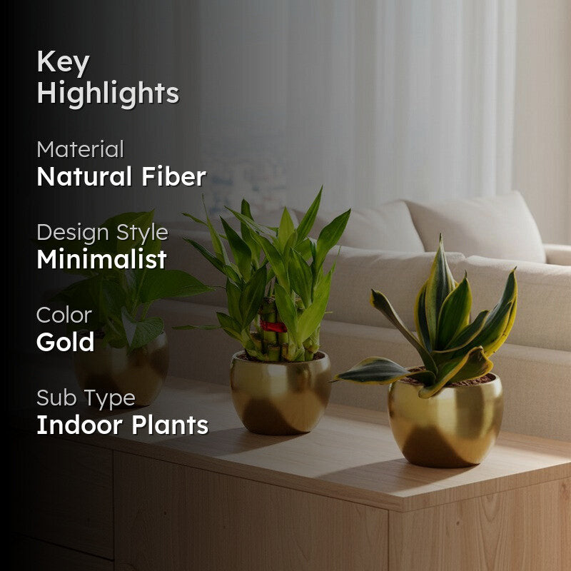 Greenkin Vastu Plants for Home Live Plants - Set Of Two media 2