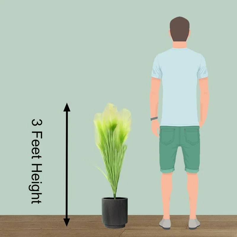 Jungleon Faux Pampas Grass With Black Plastic Pot - 3.2 Feet media 7