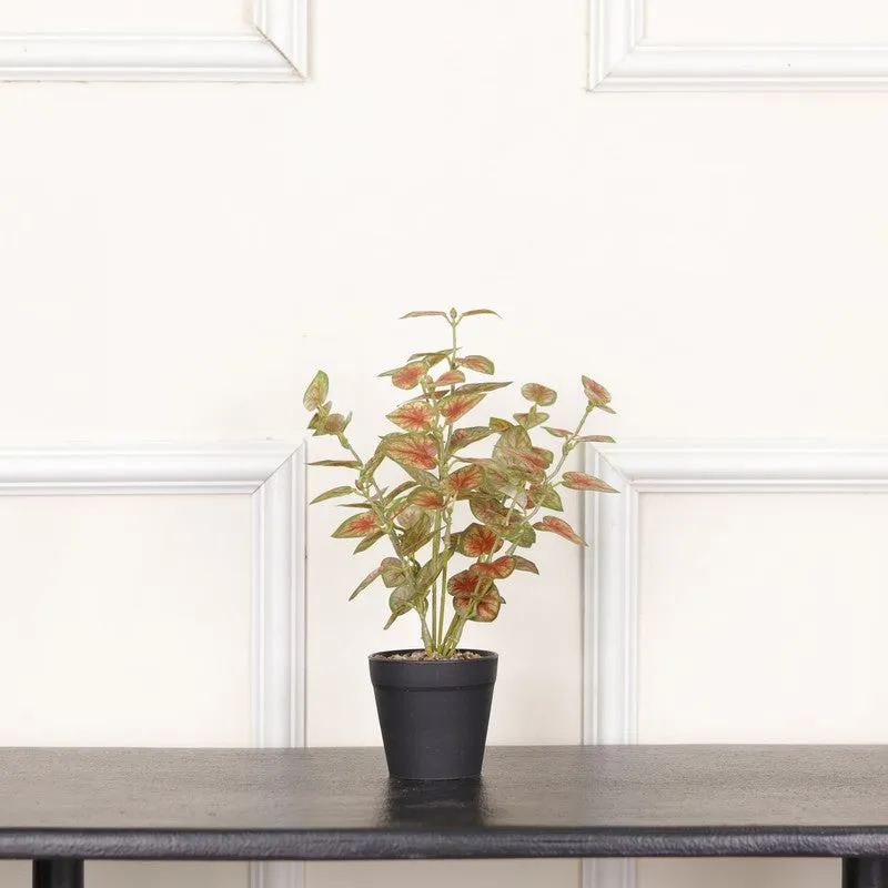 Artificial Coleous Plant With Black Fiber Pot (Brown) - 1 Feet media 3