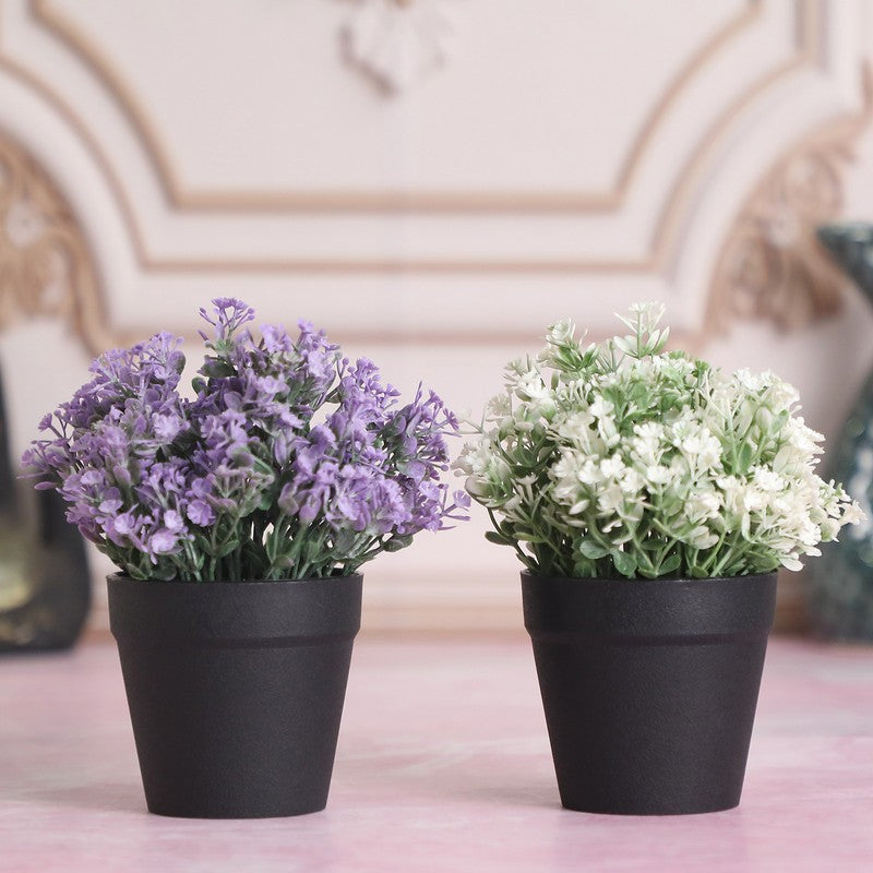 Artificial Flowers With Black Plastic Pot - Set Of Two